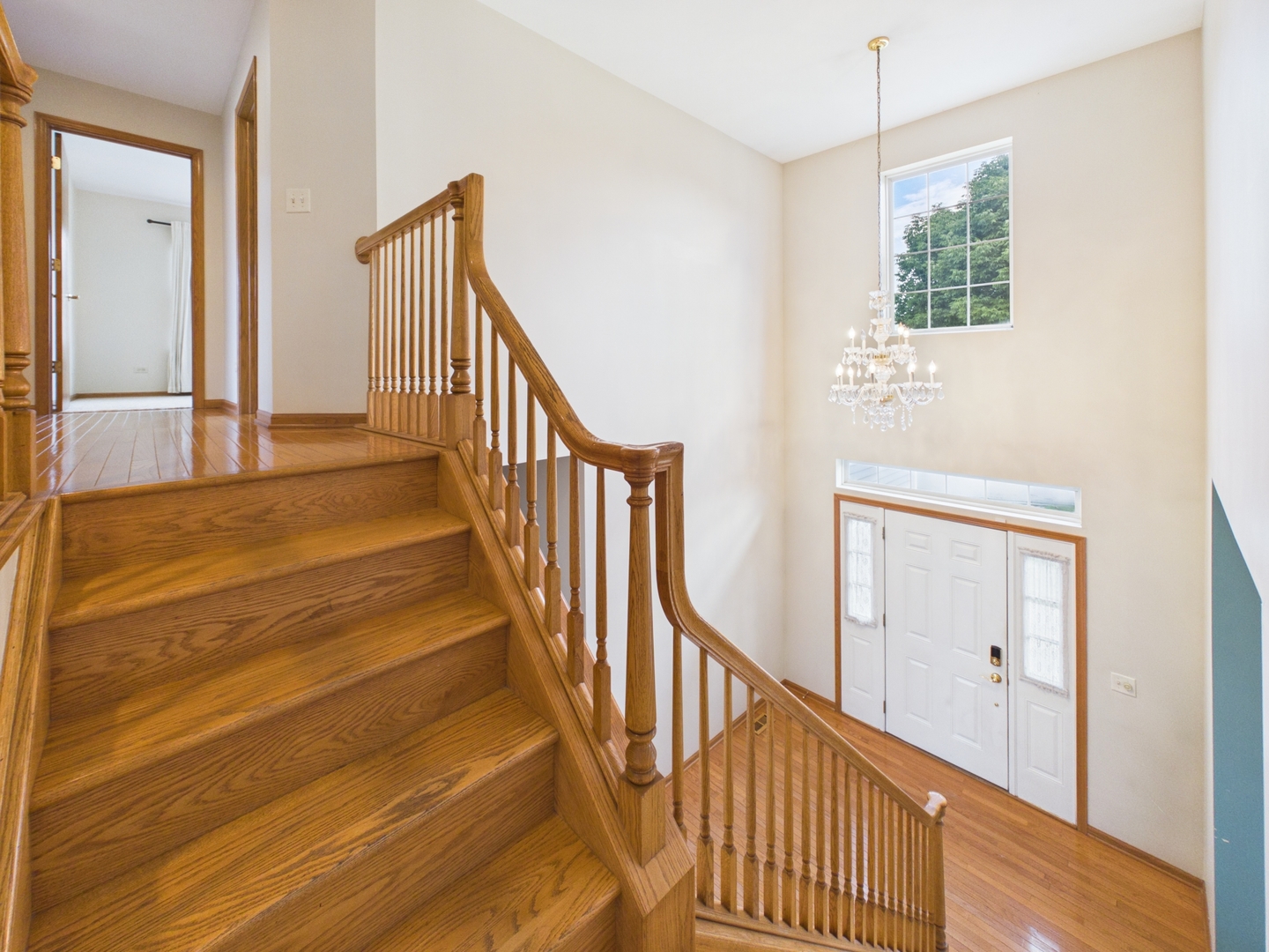 247 Alyssum Court Romeoville, IL 60446 - Photo 4 of 35