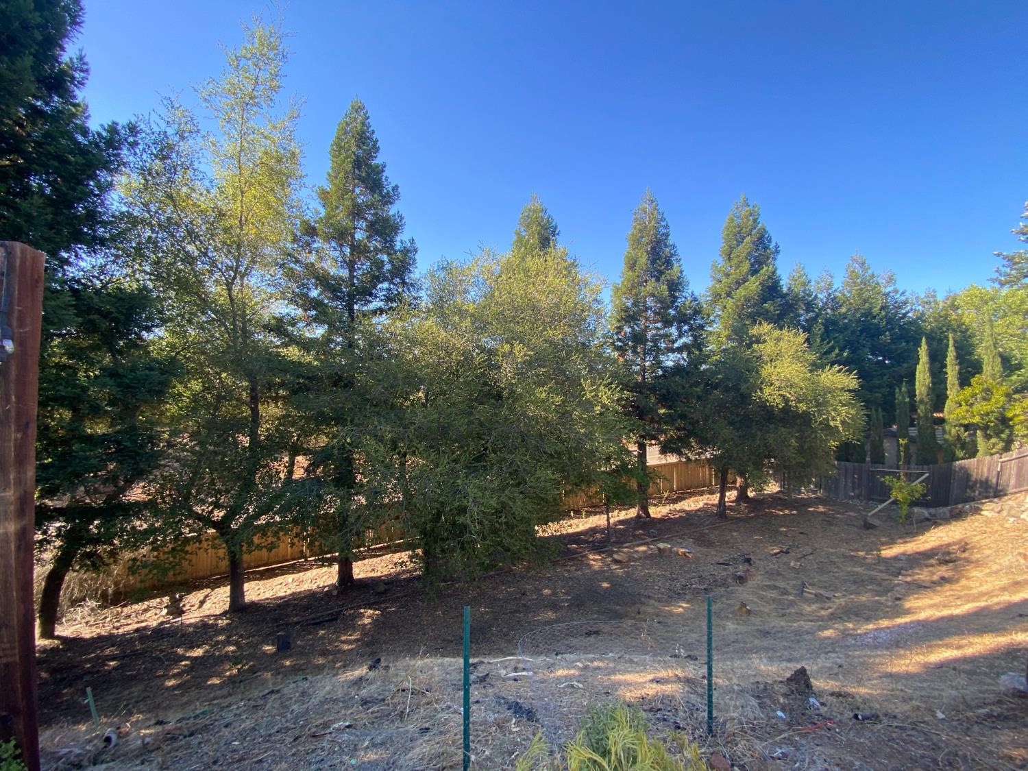 3537 Foxmore Lane Rescue, CA 95672 - Photo 9 of 32