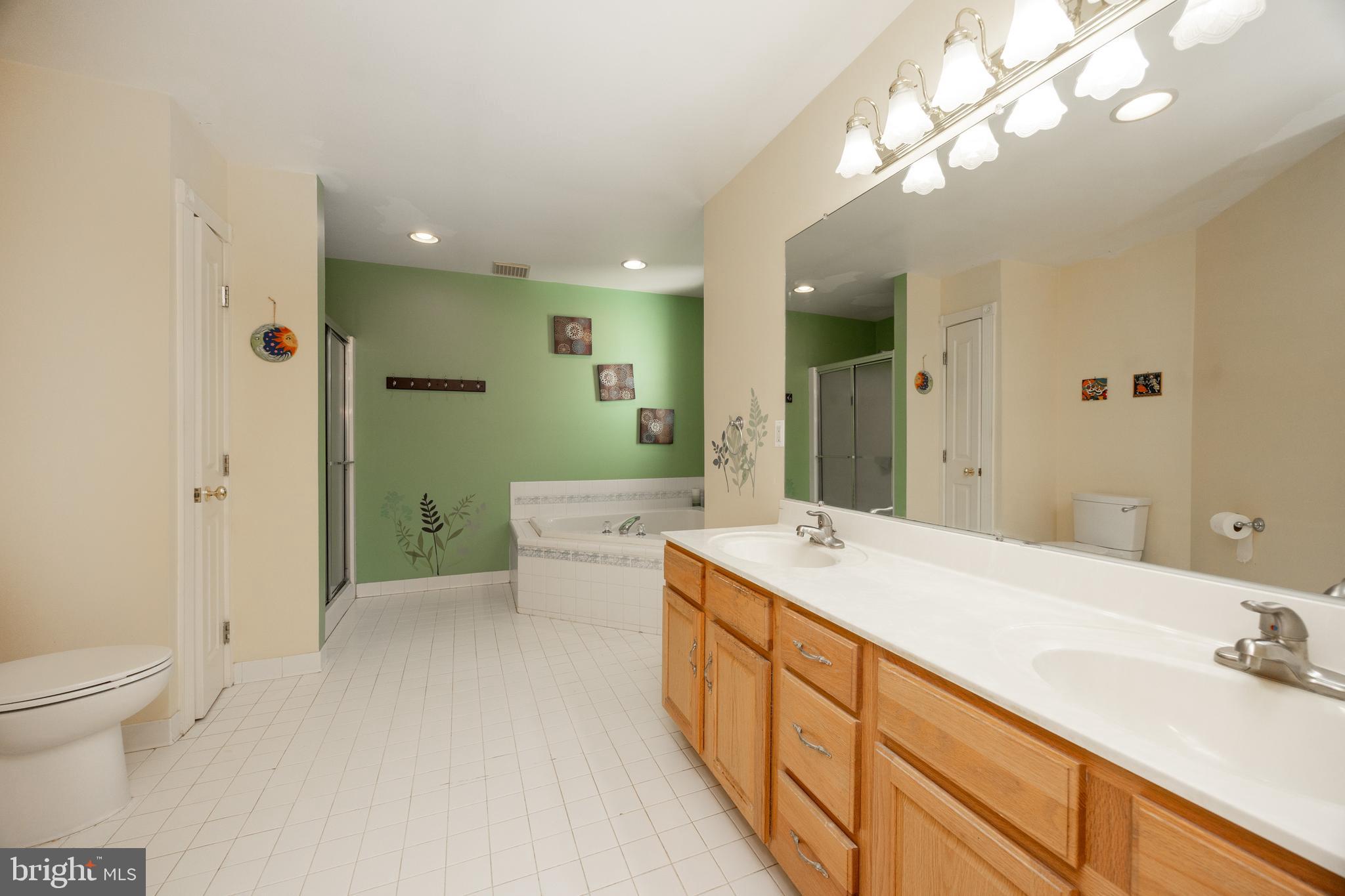 1265 Moyer Road Telford, PA 18969 - Photo 28 of 48 Primary Bath