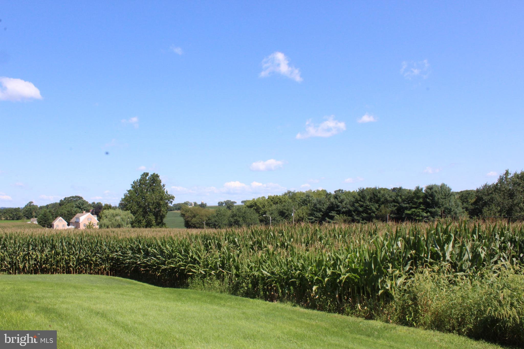 2751 Maytown Road Maytown, PA 17550 - Photo 24 of 31 Beautiful View