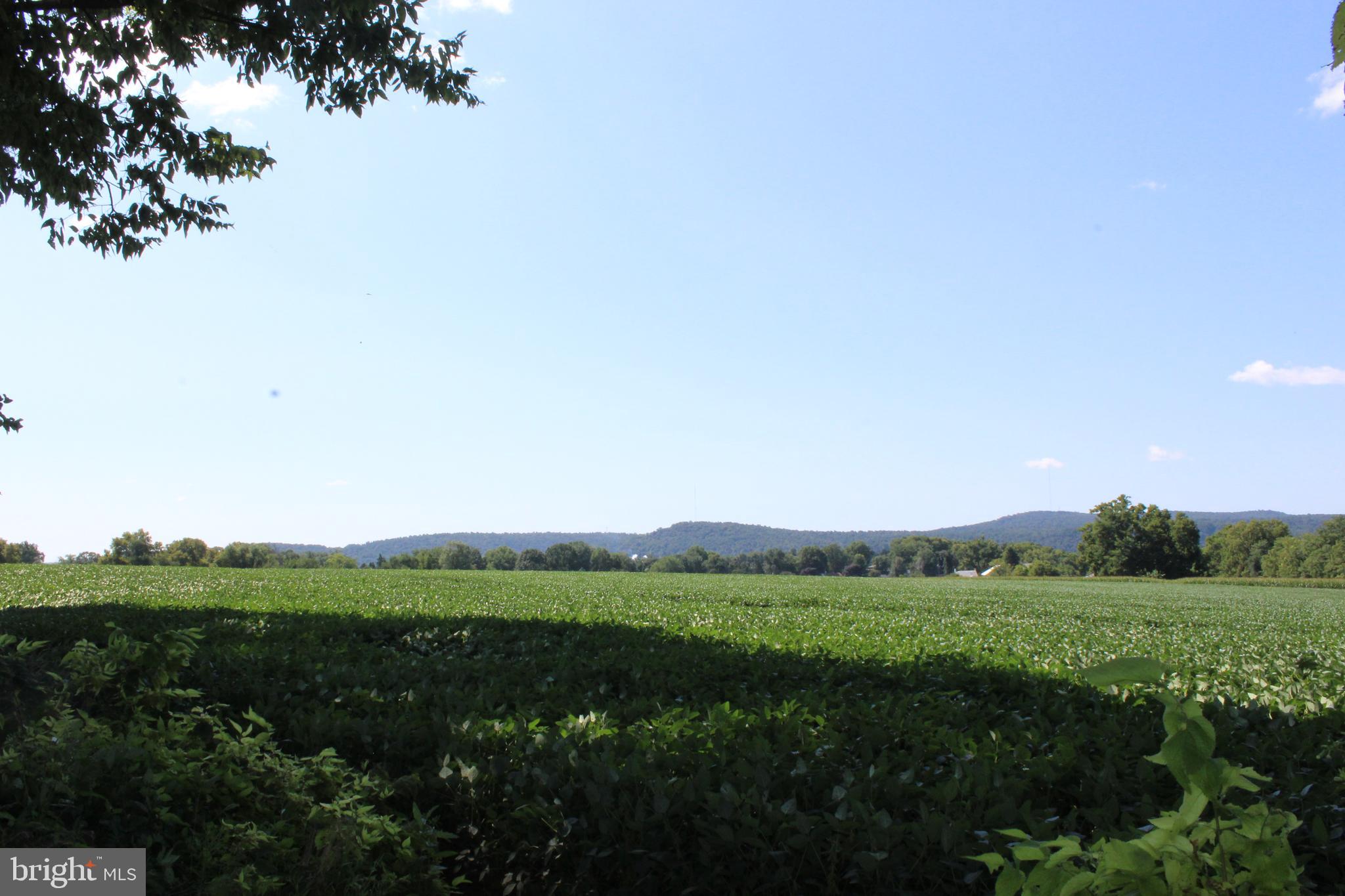 2751 Maytown Road Maytown, PA 17550 - Photo 25 of 31 Preserved Farm Land