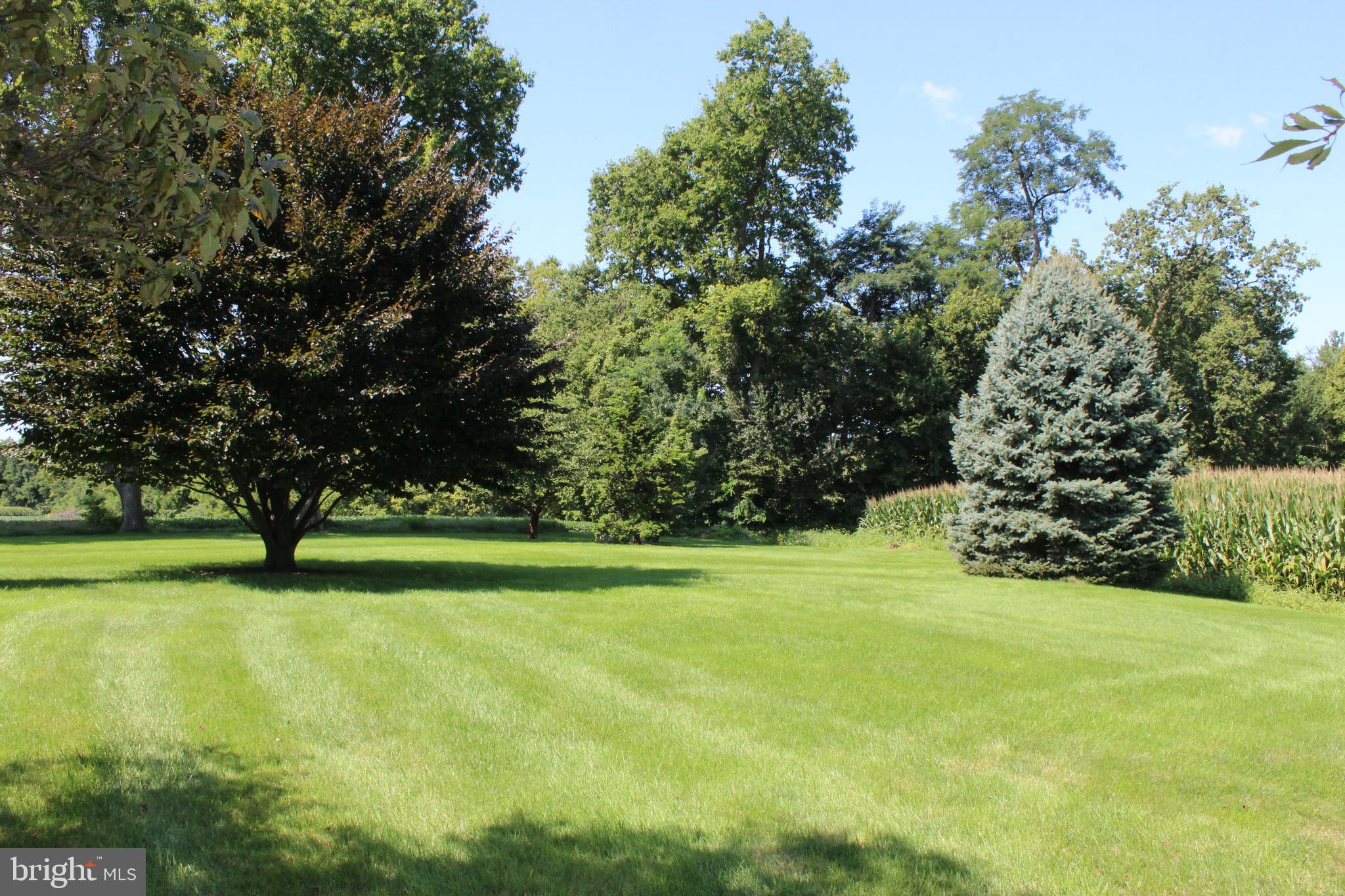 2751 Maytown Road Maytown, PA 17550 - Photo 27 of 31 Yard