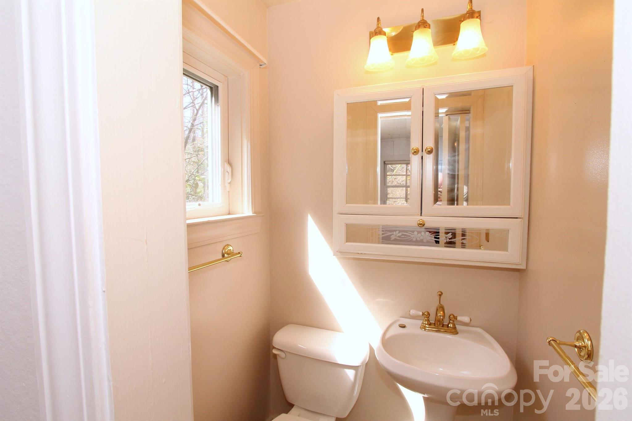 407 Turley Falls Road Hendersonville, NC 28739 - Photo 19 of 28 a bathroom with a toilet a sink and mirror