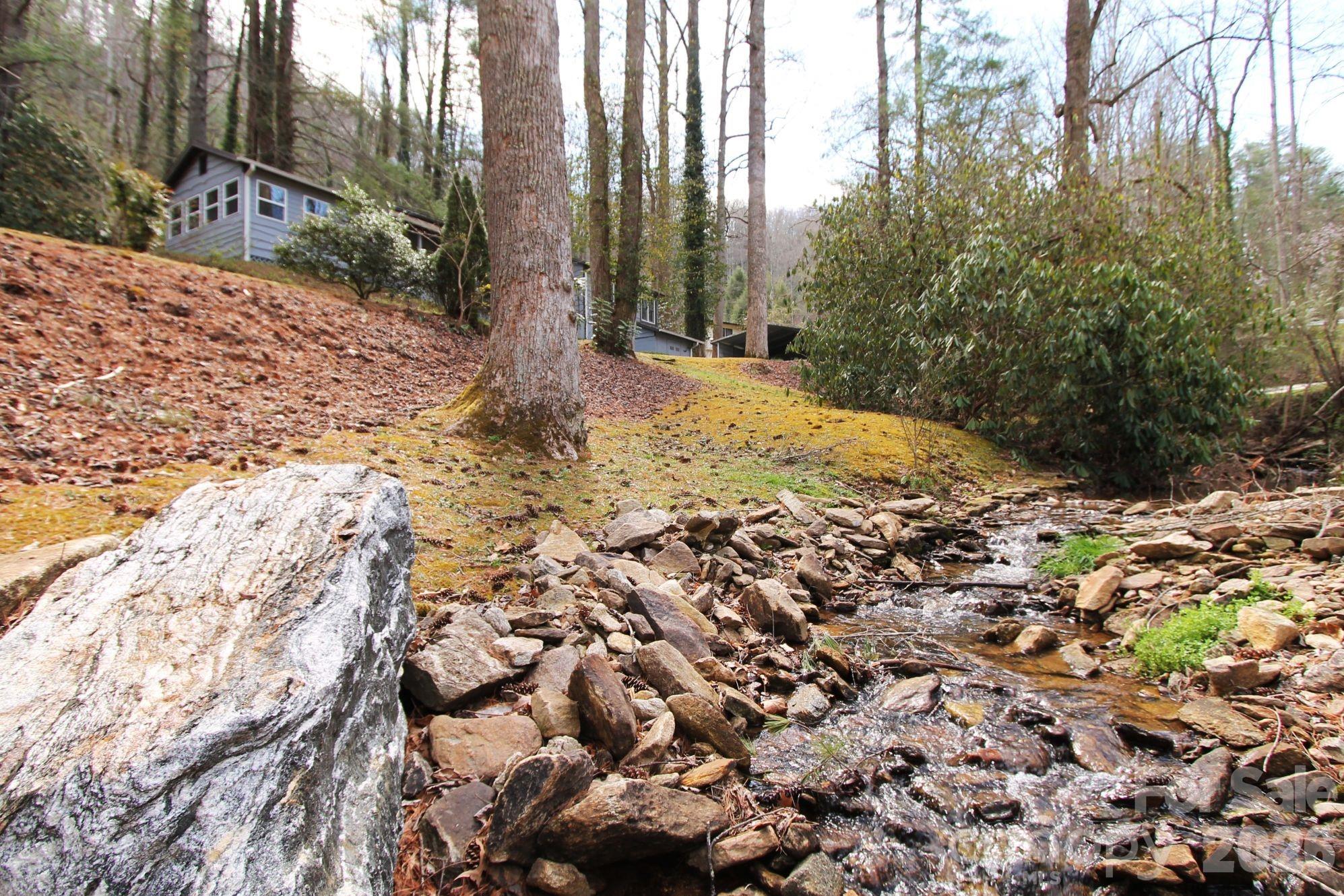 407 Turley Falls Road Hendersonville, NC 28739 - Photo 2 of 28 a view of a yard with trees