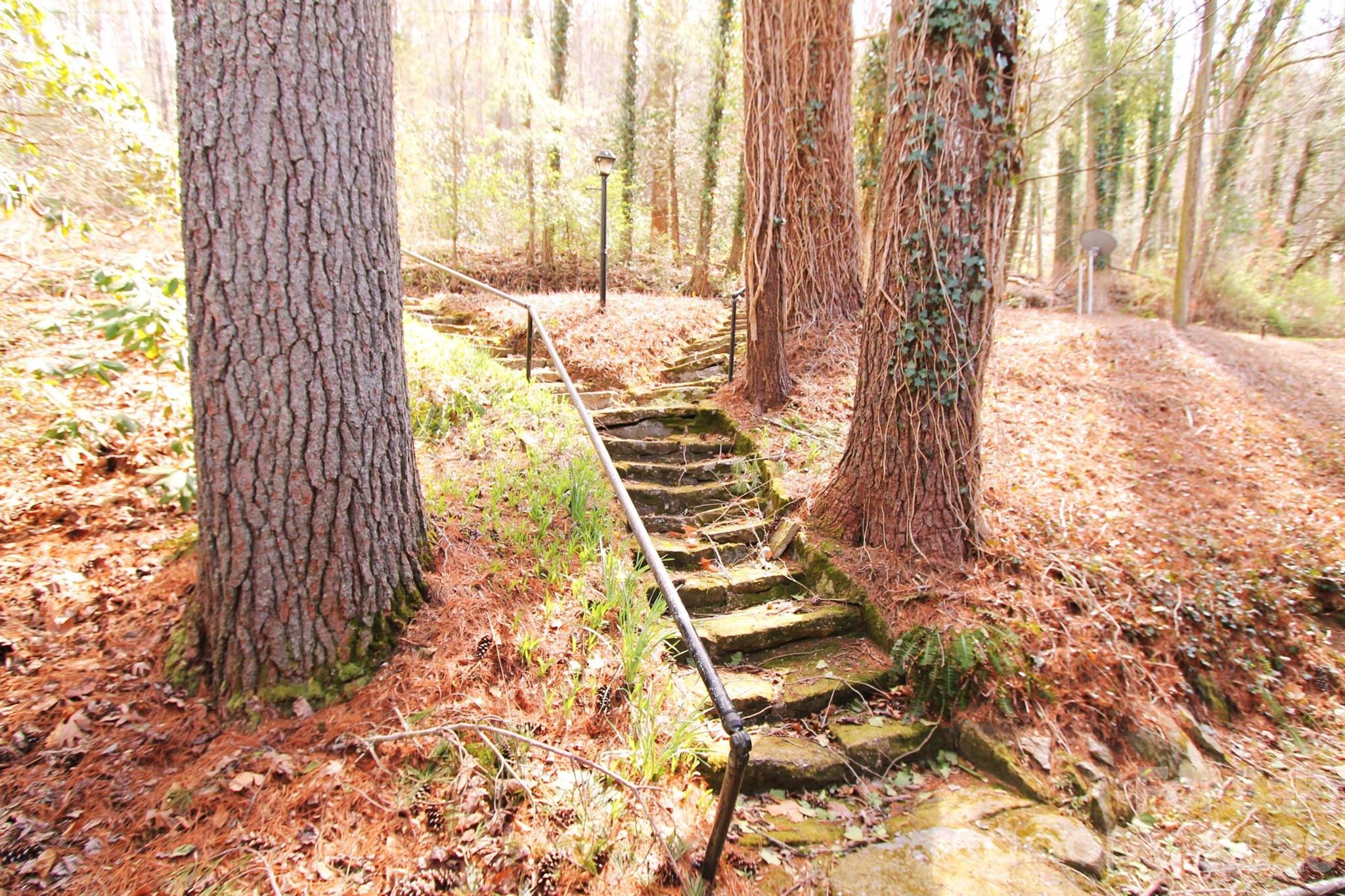 407 Turley Falls Road Hendersonville, NC 28739 - Photo 25 of 28 a view of a yard with plants and wooden fence