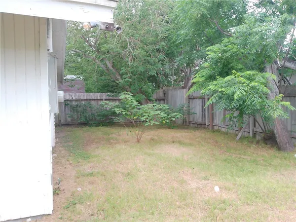a view of a backyard with plants