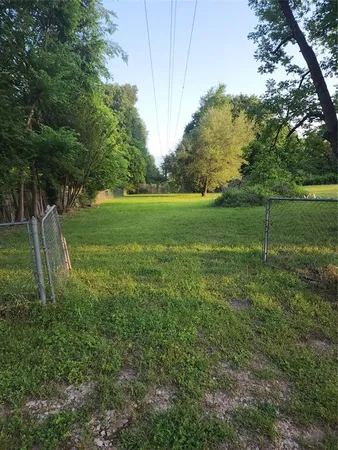 a view of a field with a tree