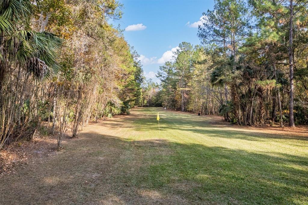22675 Northwest 75th Avenue Road Micanopy, FL 32667 - Photo 54 of 72