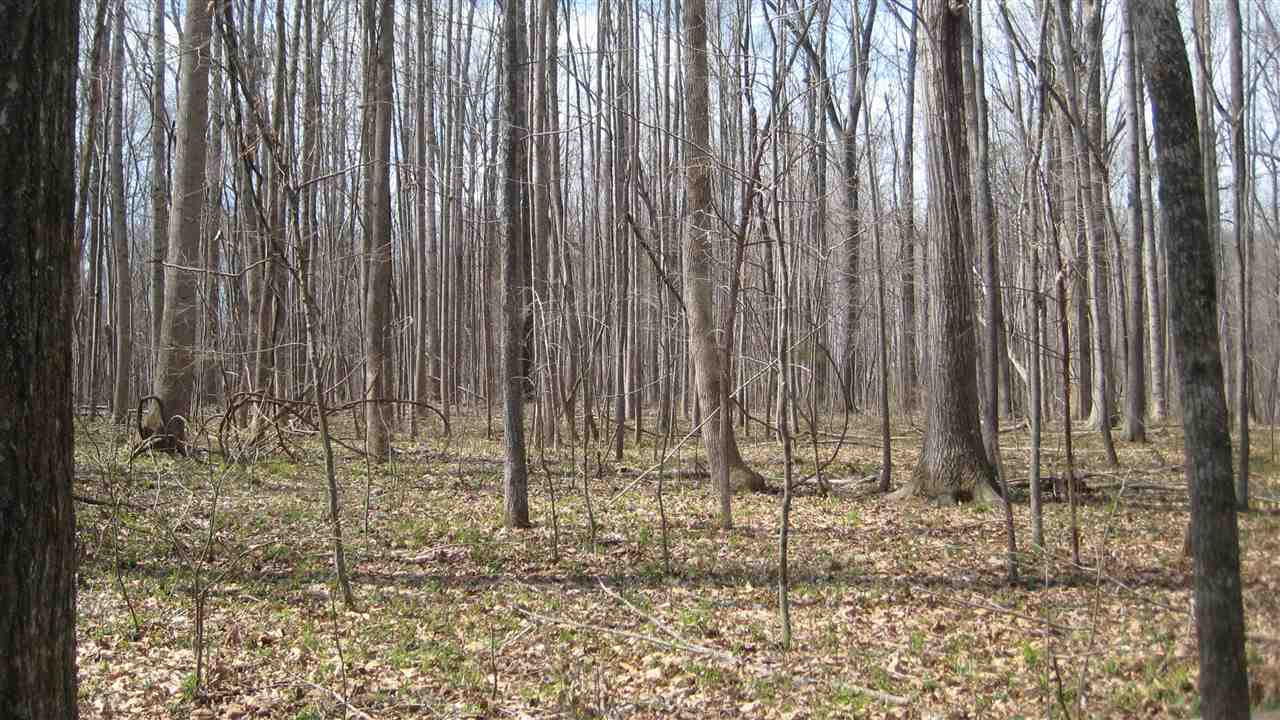 Sawyer Road Timberlake, NC 27583 - Photo 12 of 15 Photo 12
