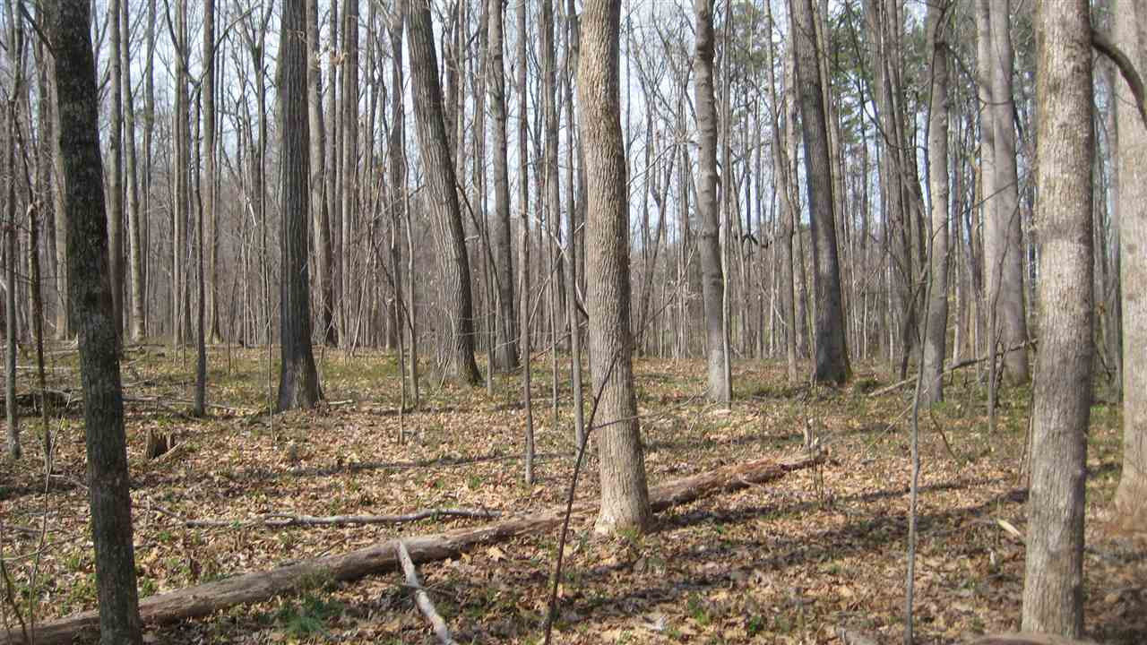 Sawyer Road Timberlake, NC 27583 - Photo 13 of 15 Photo 13