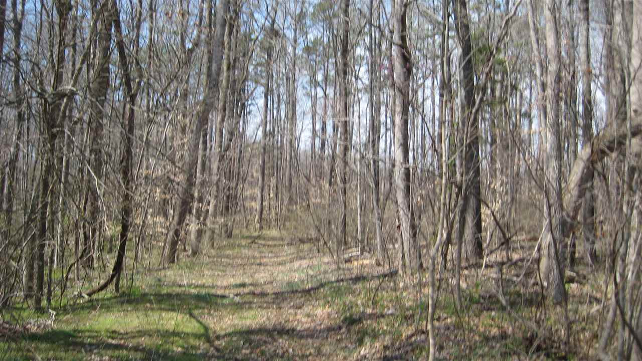 Sawyer Road Timberlake, NC 27583 - Photo 14 of 15 Photo 14