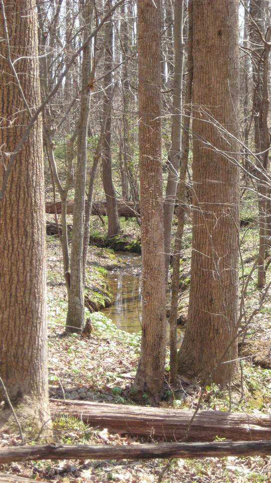 Sawyer Road Timberlake, NC 27583 - Photo 7 of 15 Photo 7