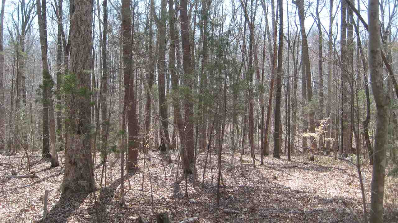 Sawyer Road Timberlake, NC 27583 - Photo 10 of 15 Photo 10