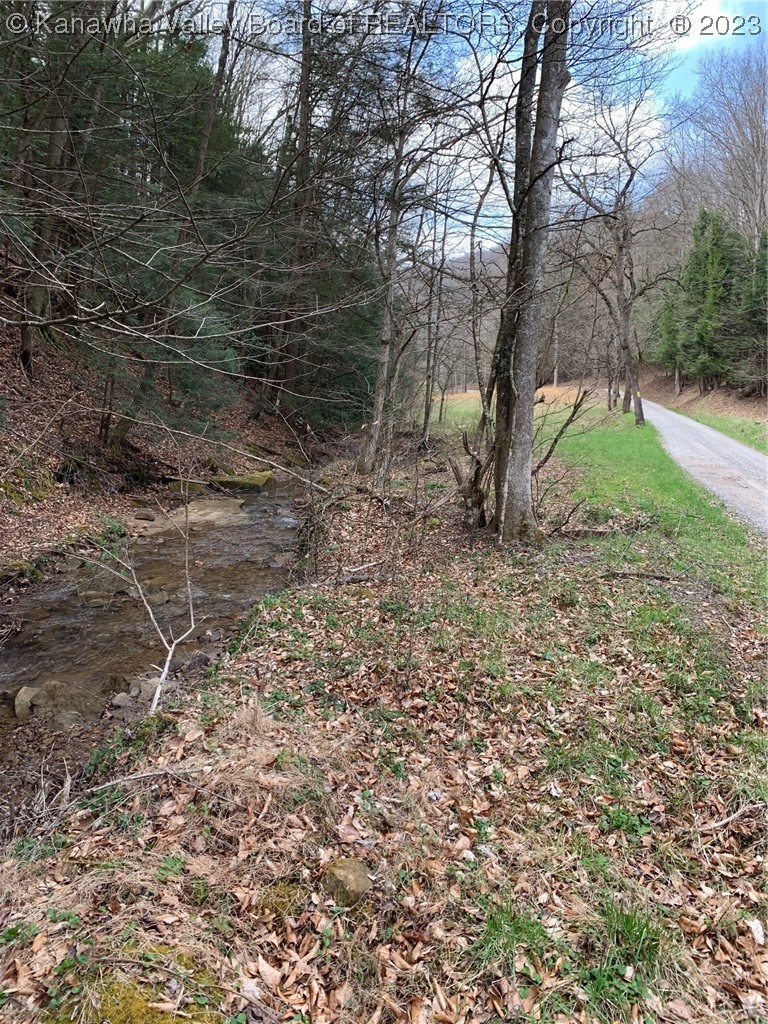 444 Carolina Mountain Road Sutton, WV 26601 - Photo 13 of 17 Gallery Image 13