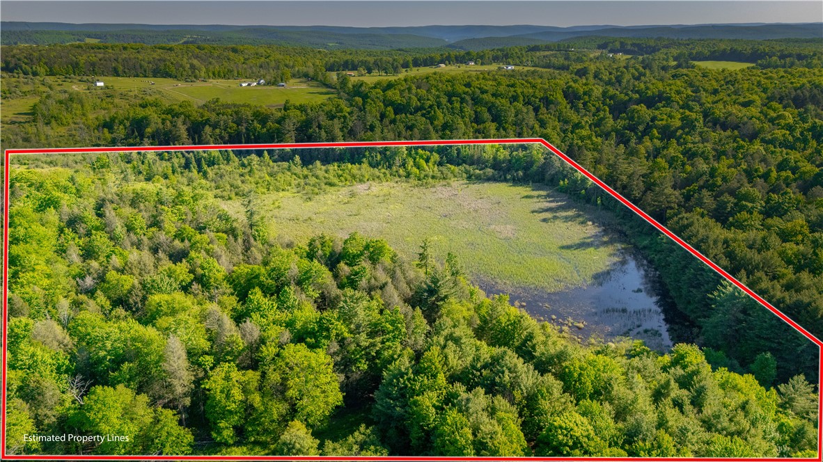 10815 Church Creek Road Caton, NY 14858 - Photo 5 of 22