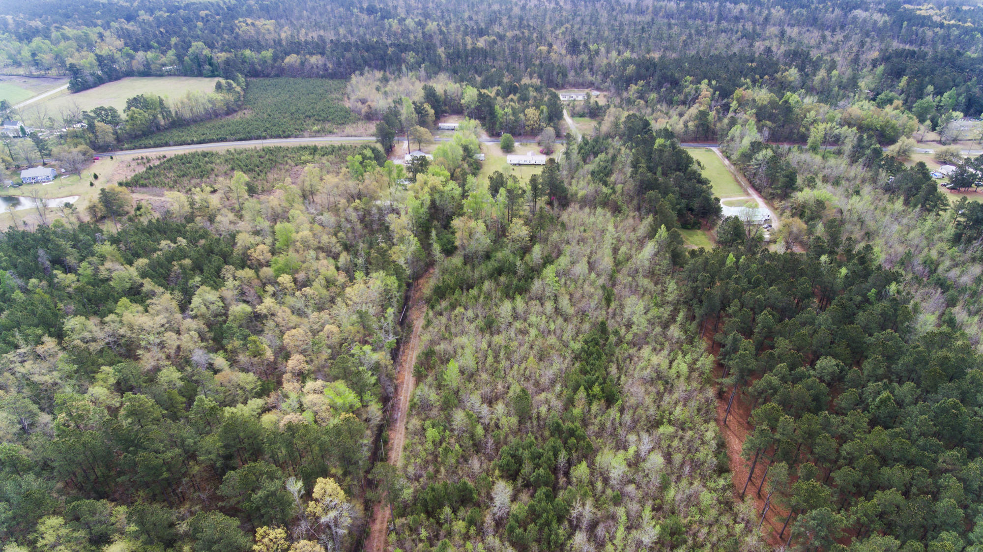1092 Old Wiggins Road Holly Hill, SC 29059 - Photo 39 of 43 45