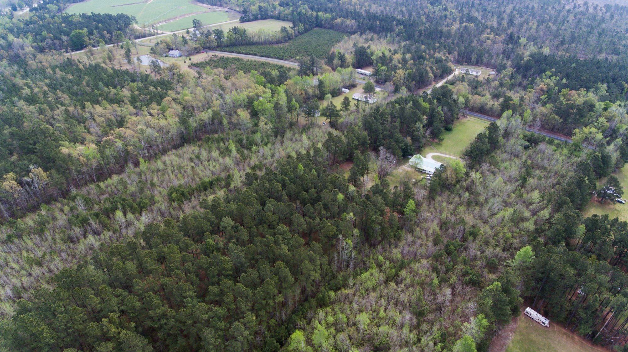 1092 Old Wiggins Road Holly Hill, SC 29059 - Photo 42 of 43 48