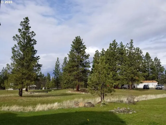 a view of field with trees in the background