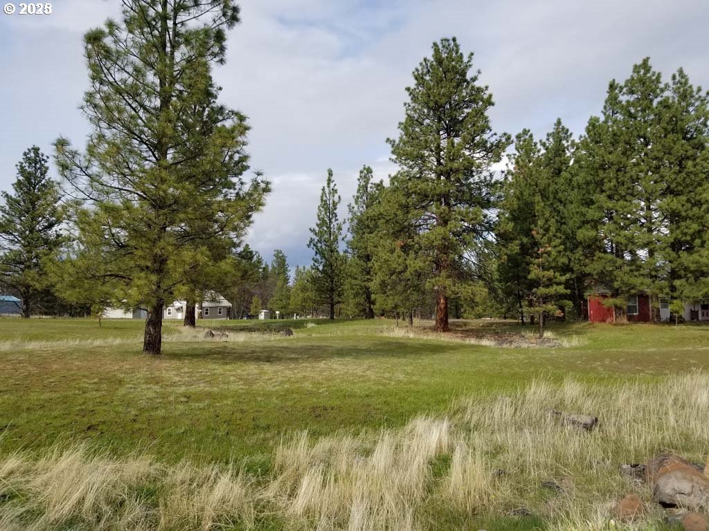 271 South Fairway Road Tygh Valley, OR 97063 - Photo 39 of 43 a view of field with trees in the background