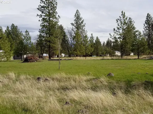 a view of road with large trees