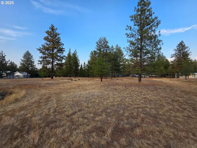 a view of outdoor space with trees