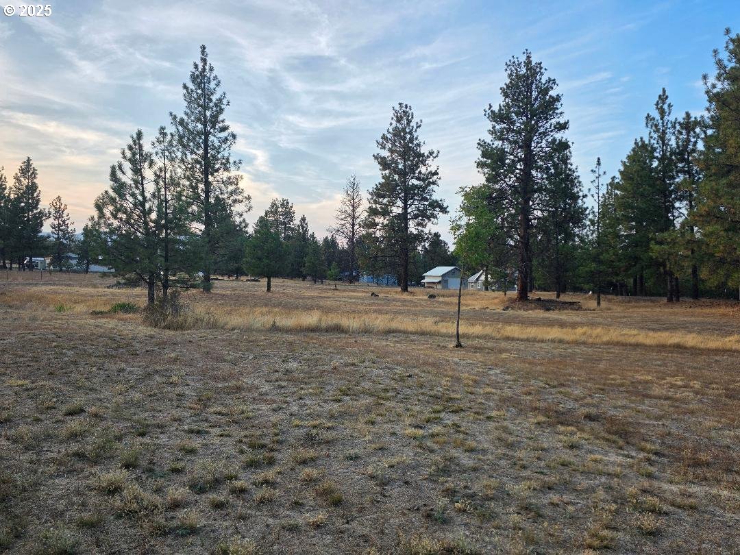 271 South Fairway Road Tygh Valley, OR 97063 - Photo 9 of 43 a view of outdoor space with trees