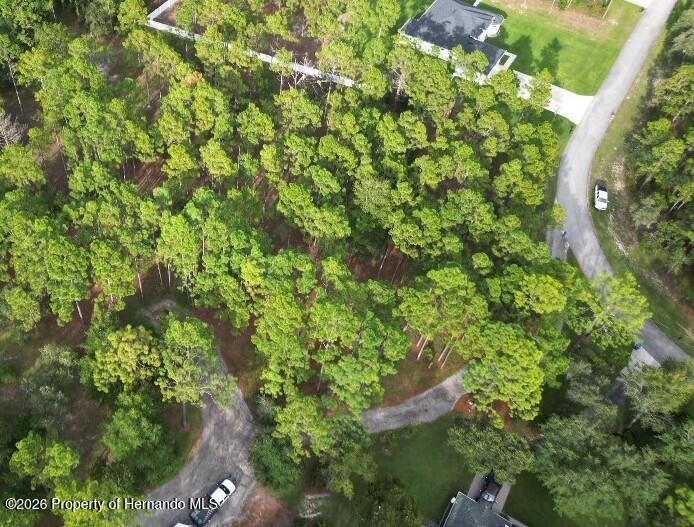 0 Jumper Loop Spring Hill, FL 34609 - Photo 2 of 9 Gallery Image 2