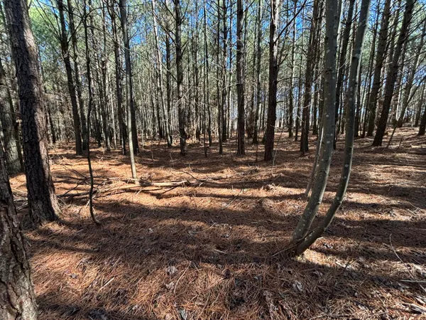 $81,500 | 1 Fredonia Road, Dunlap, TN 37327