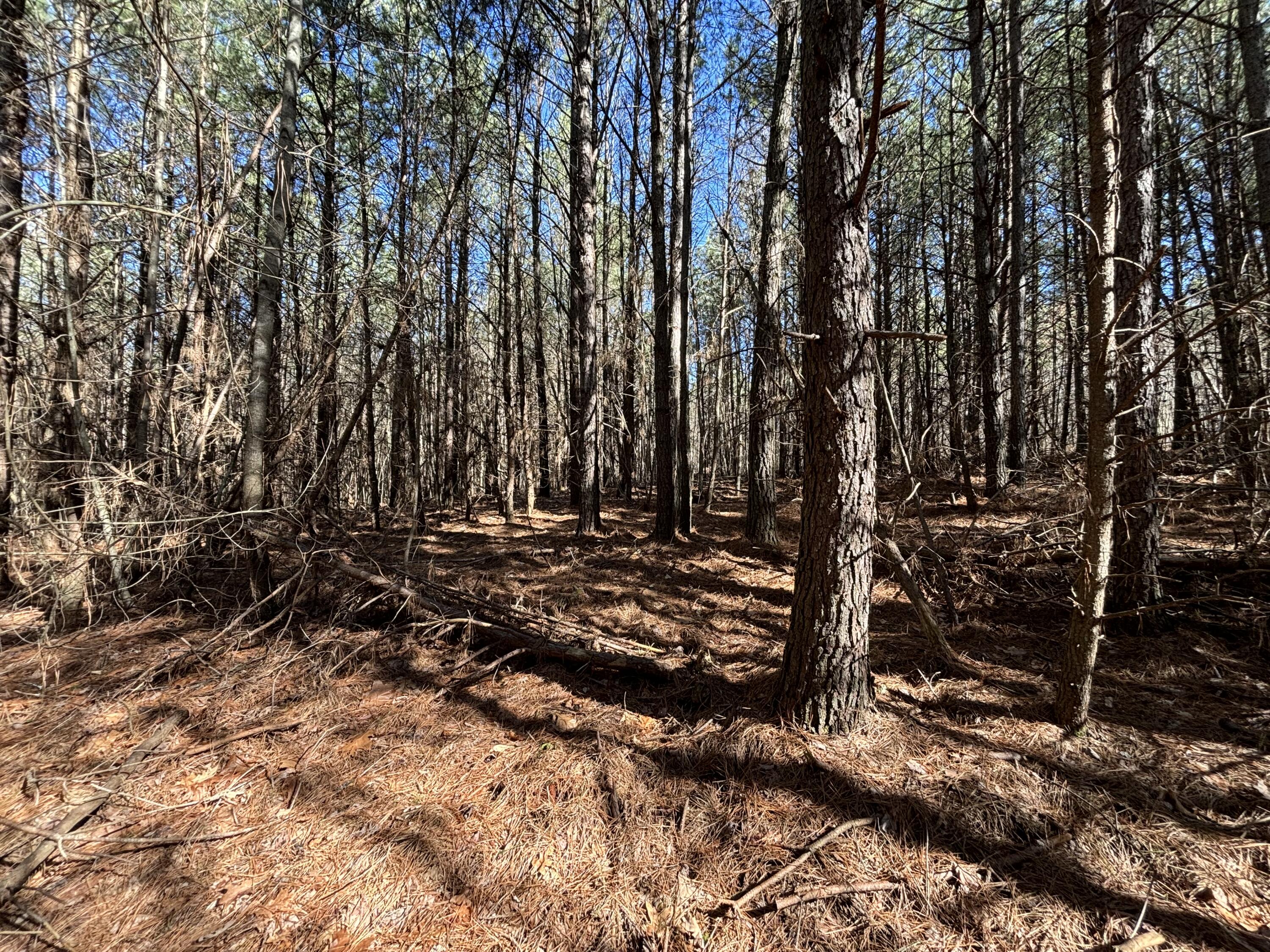 1 Fredonia Road Dunlap, TN 37327 - Photo 5 of 13 Photo Feb 24 2025, 11 12 18 AM