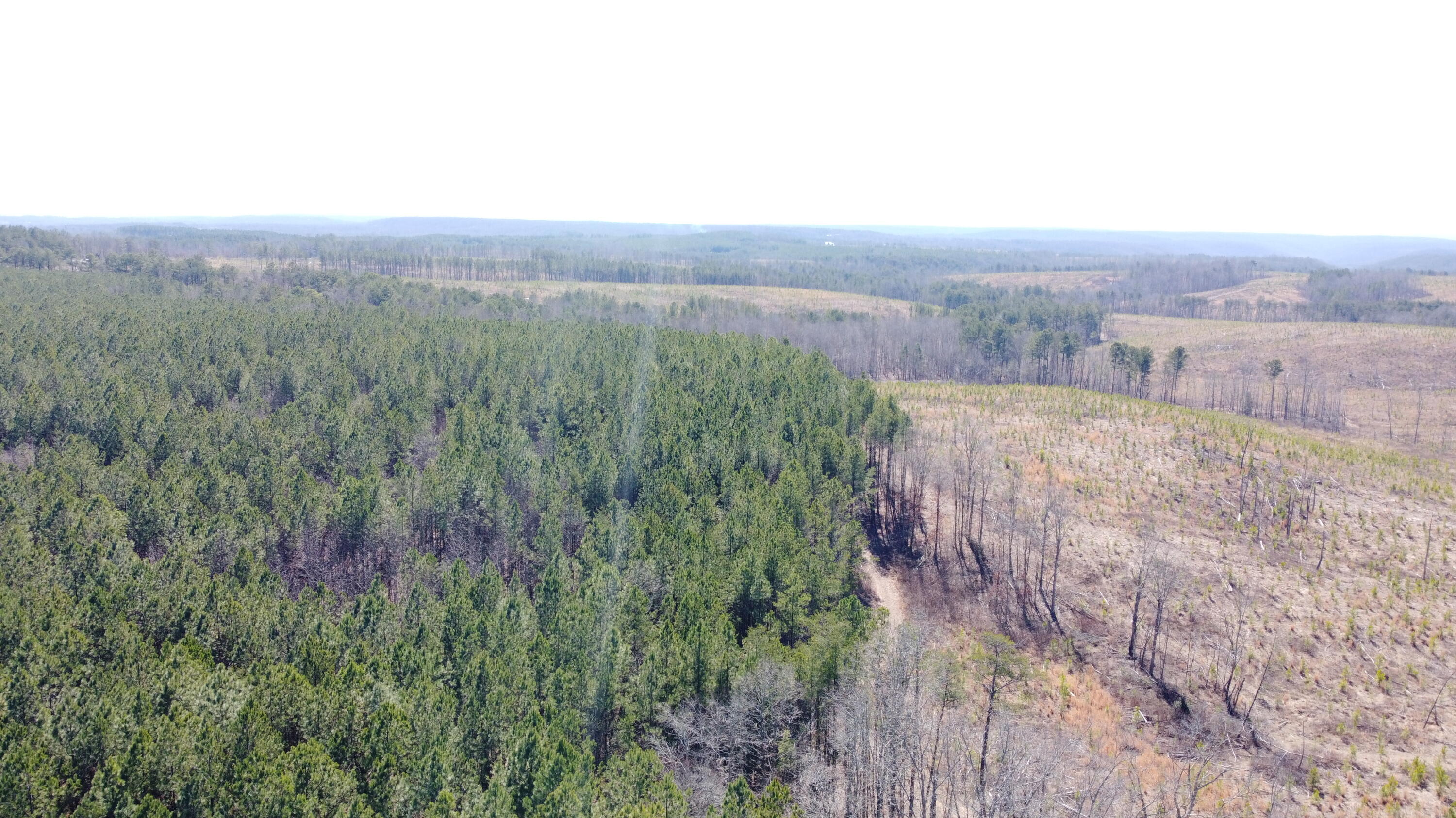 1 Fredonia Road Dunlap, TN 37327 - Photo 10 of 13 Photo Feb 24 2025, 12 31 44 PM