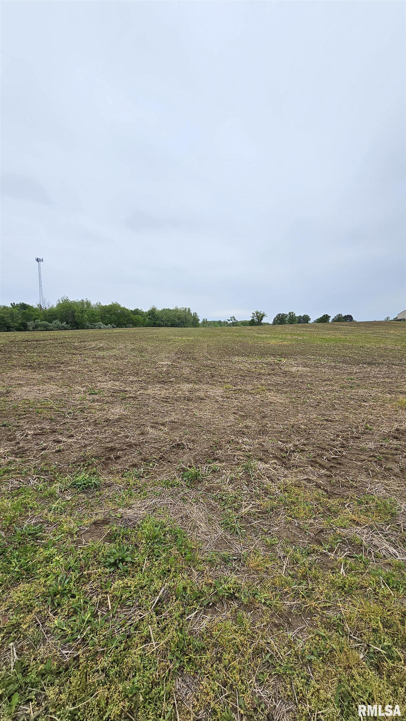 0 Old Creal Springs Road Marion, IL 62959 - Photo 3 of 5