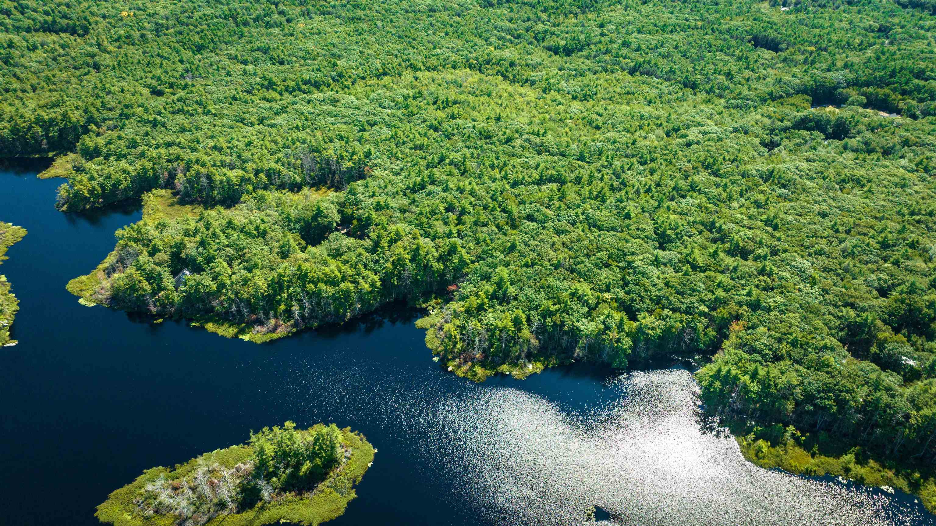 53 Hocoka Path Eliot, ME 03903 - Photo 2 of 4