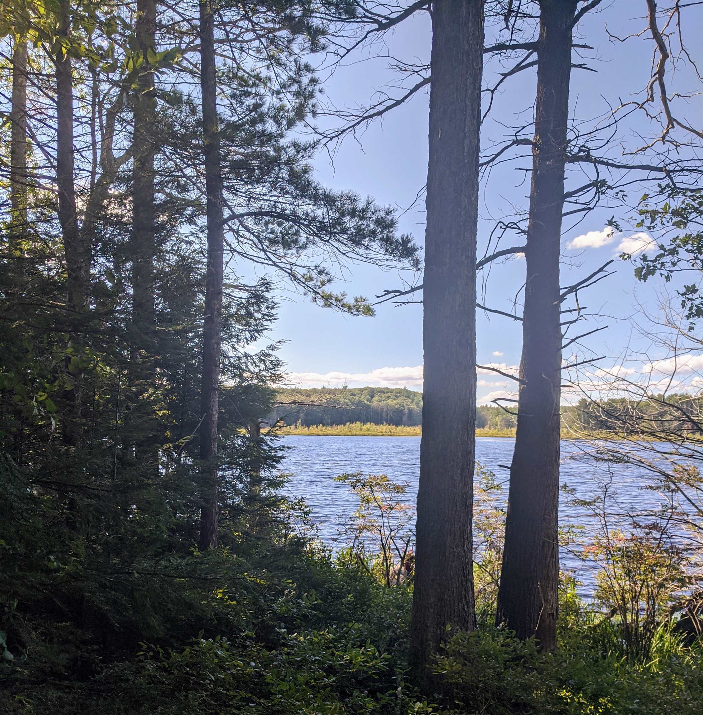 53 Hocoka Path Eliot, ME 03903 - Photo 3 of 4