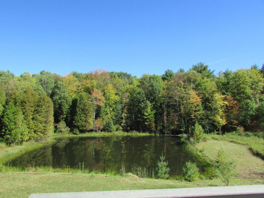 271 Neiger Hollow Road Barton, NY 13734 - Photo 16 of 23 Gallery Image 16