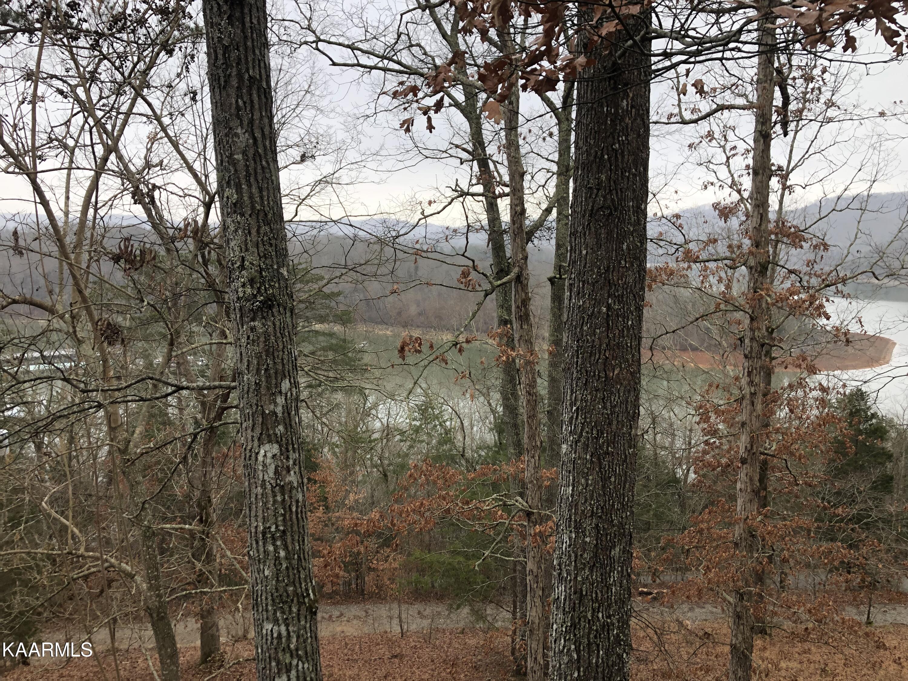 151 White Circle Road Speedwell, TN 37870 - Photo 1 of 37 D18F666E-ED15-4058-93A5-8AB455F689A0