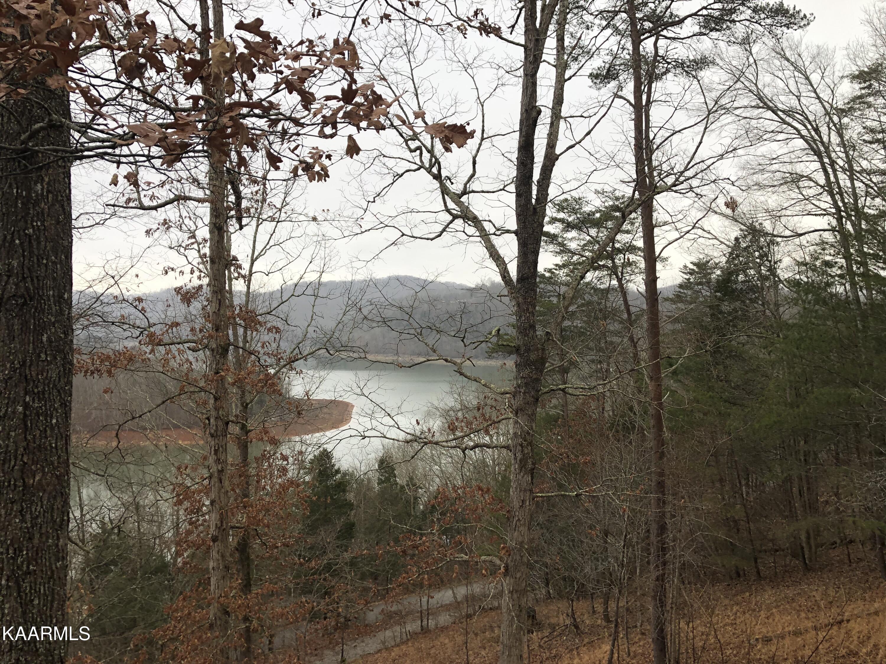 151 White Circle Road Speedwell, TN 37870 - Photo 6 of 37 0B01A497-8551-413E-84D2-1AD7BC795F53