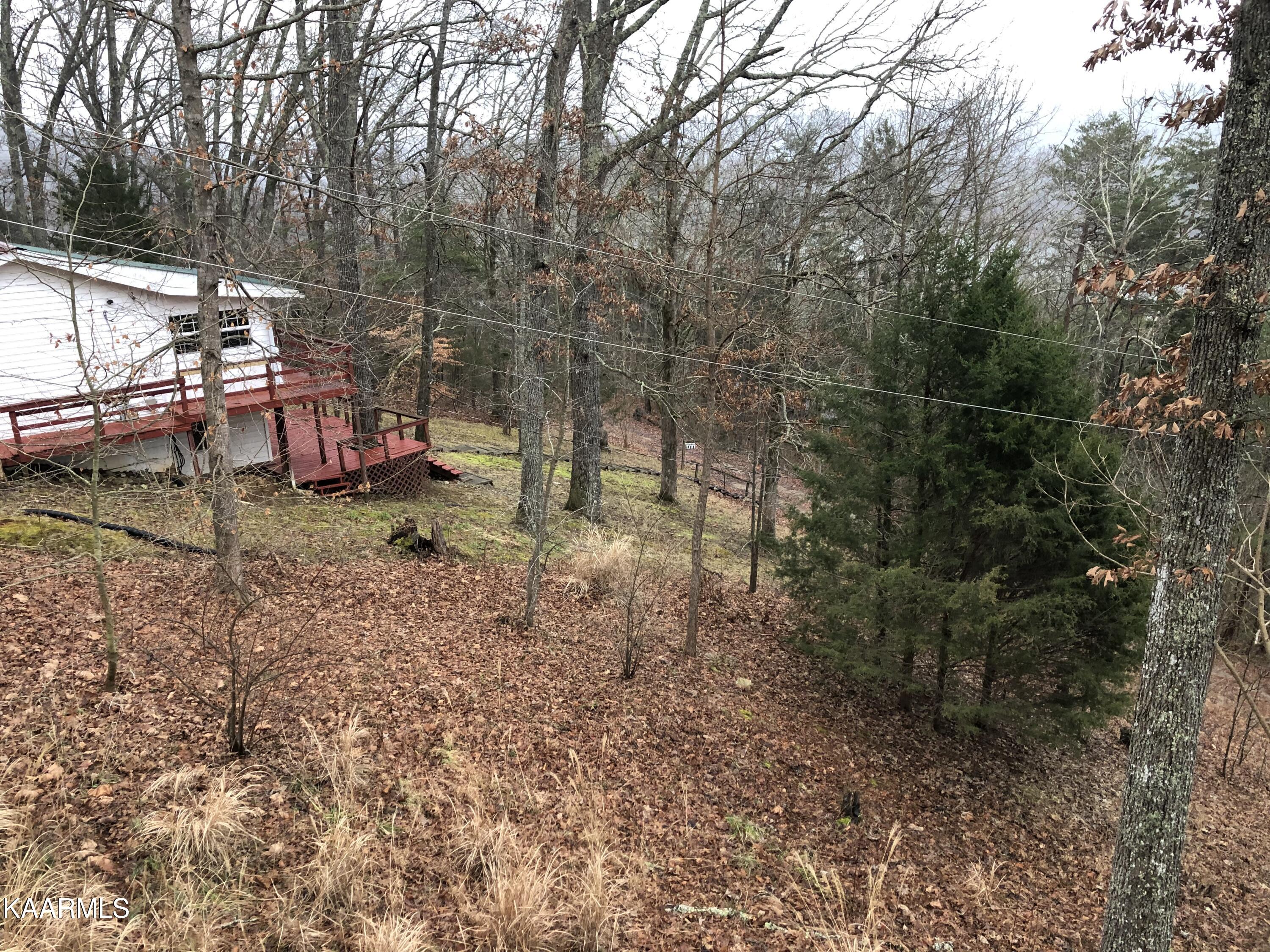 151 White Circle Road Speedwell, TN 37870 - Photo 8 of 37 9FF24B14-92D8-442A-A00C-A7F5F73644BD