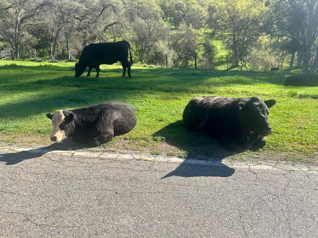 0 Moccasin Ranch Road Coulterville, CA 95311 - Photo 1 of 11