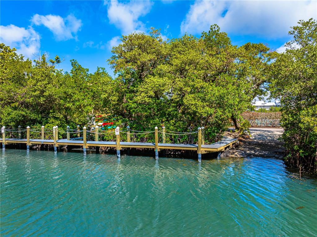 615 Dream Island Road, Unit 202 Longboat Key, FL 34228 - Photo 63 of 66 a view of a swimming pool with lawn chairs and a large tree
