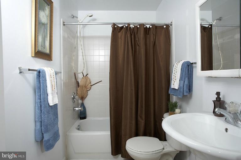 2203 Manor Spring Terrace Silver Spring, MD 20906 - Photo 16 of 30 Bath