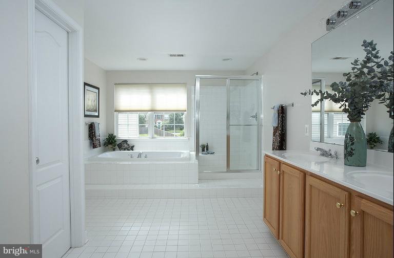 2203 Manor Spring Terrace Silver Spring, MD 20906 - Photo 18 of 30 Bath (Master)