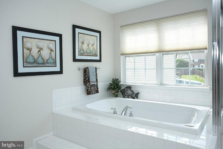 2203 Manor Spring Terrace Silver Spring, MD 20906 - Photo 4 of 30 Bath (Master)