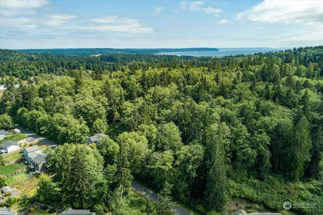a view of a lush green forest with lawn chairs