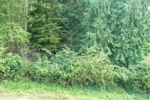 an aerial view of residential house with outdoor space and trees all around