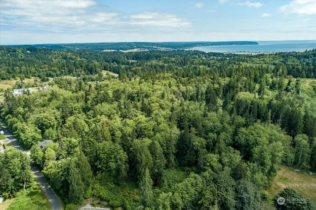 a view of a city with lush green forest