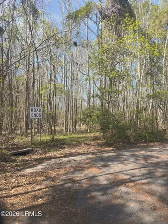 $18,000 | Lot 5 Freeman Street, Hampton, SC 29924