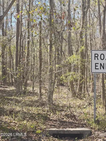 $18,000 | Lot 5 Freeman Street, Hampton, SC 29924