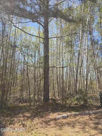 $18,000 | Lot 5 Freeman Street, Hampton, SC 29924