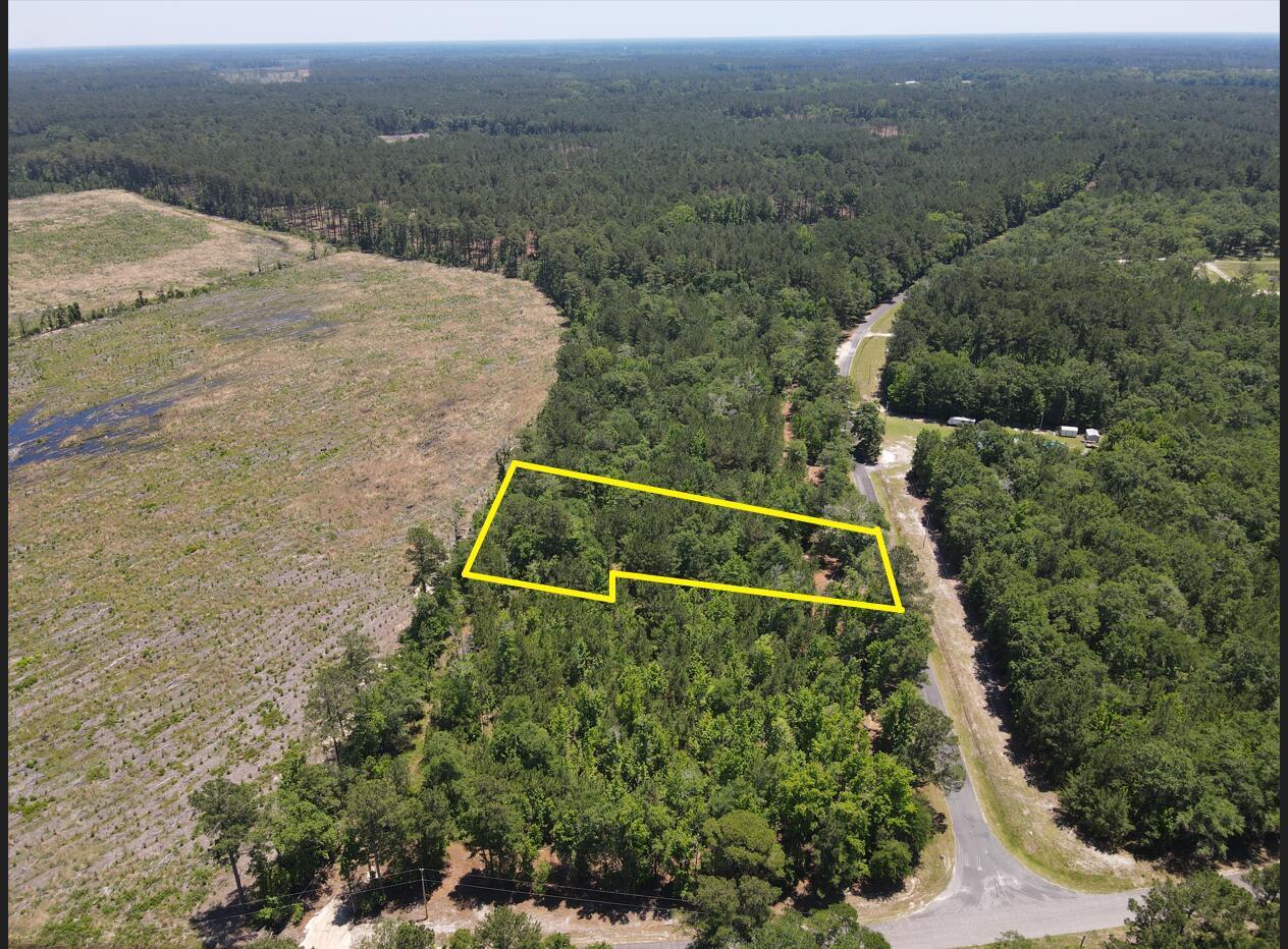 0 Tumbleweed Road Smoaks, SC 29481 - Photo 3 of 11