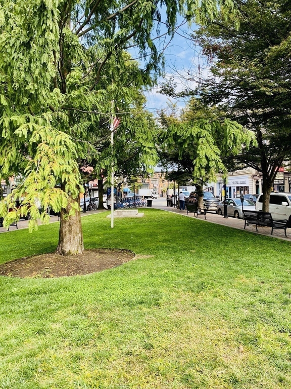 35 Cherry Street, Unit 1 Chelsea, MA 02150 - Photo 12 of 14 a view of a garden with a house in the background